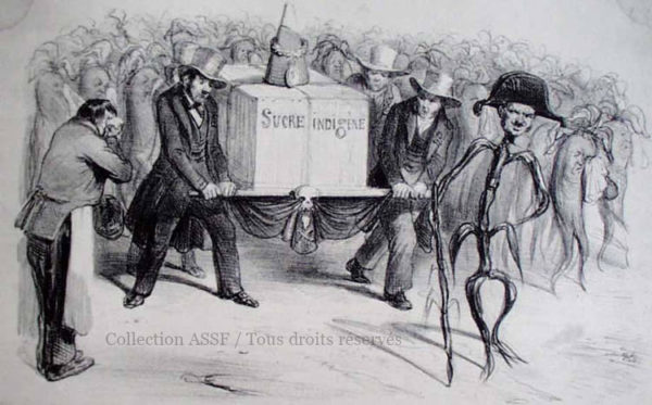 Lithographie Ancienne Originale 1880 - Le Sucre - Culture Et Raffinage